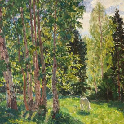Surin Dmitrij 07